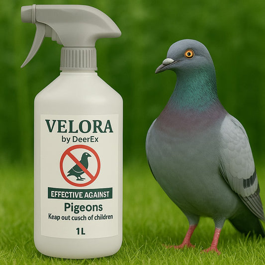 Ready To Use Pigeon repellent protect your garden for Pigeons