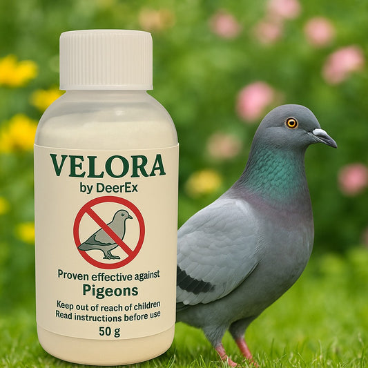 2x 50g Velora Pigeon Repellent Concentrate keeps pigeons away naturally. Eco-friendly, pet-safe, and made in the UK.