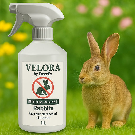 Ready to Use Rabbit repellent protect your garden from damage by Rabbits