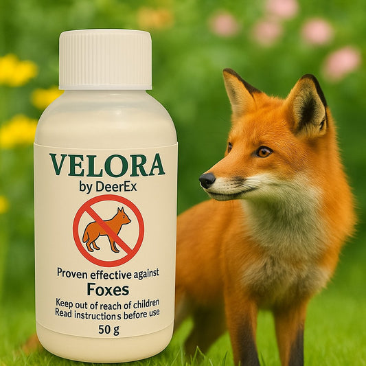 2x 50g Velora Fox Repellent | Concentrate Powder by DeerEx