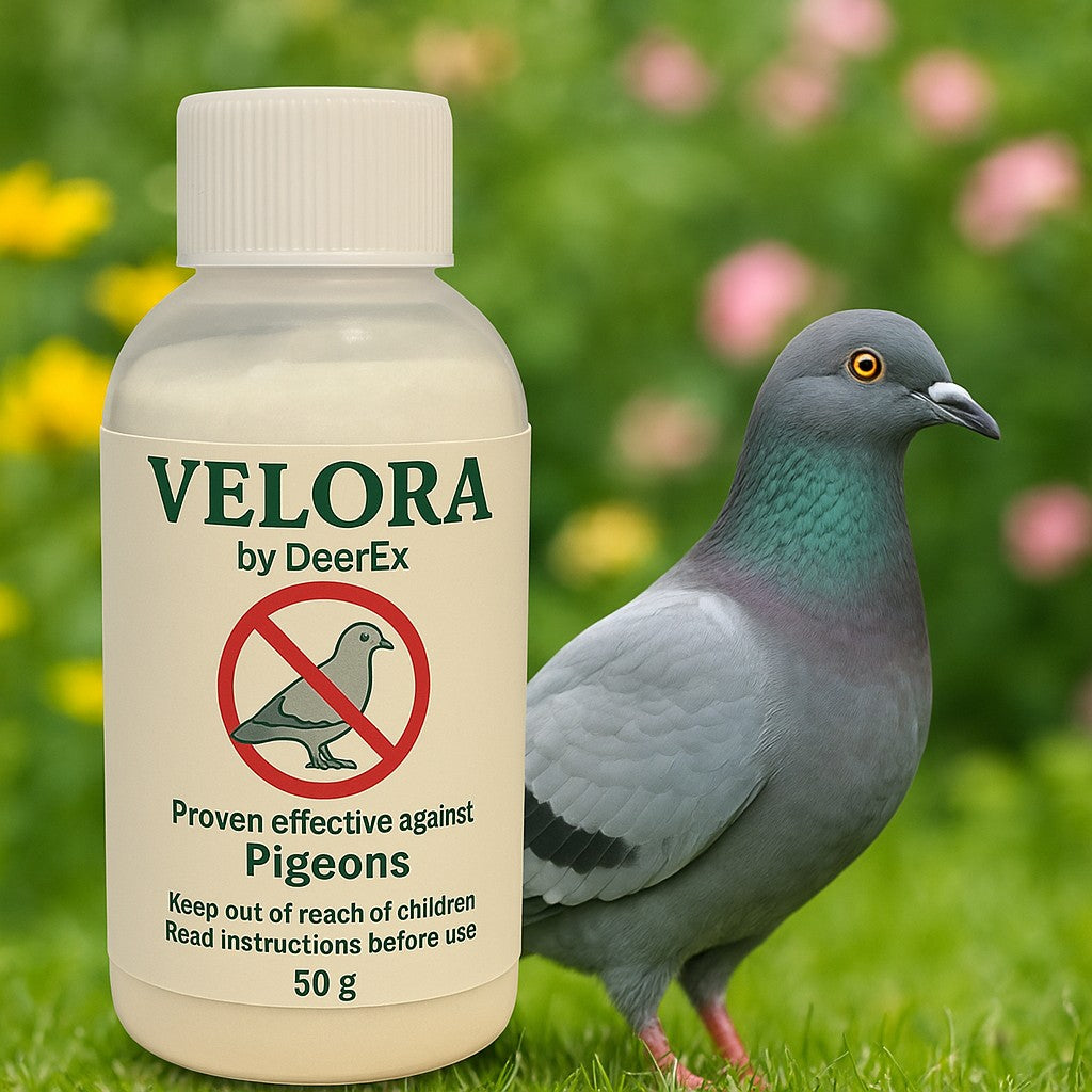 2x 50g Velora Pigeon Repellent Concentrate keeps pigeons away naturally. Eco-friendly, pet-safe, and made in the UK.