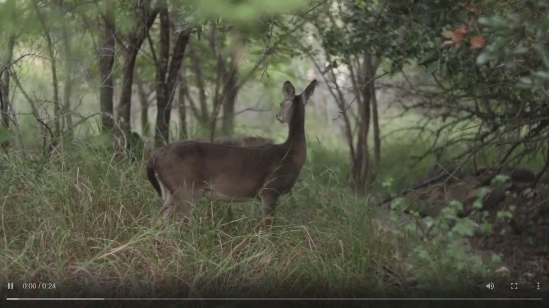 Keep your garden flowers, shrubs and trees safe from deer damage